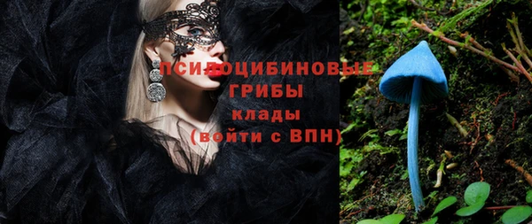 первитин Алексеевка