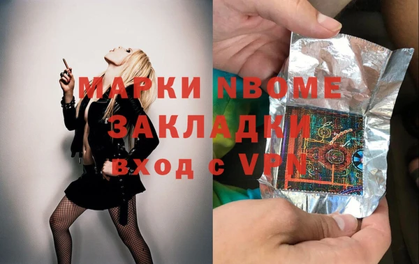 хмурый Алексин
