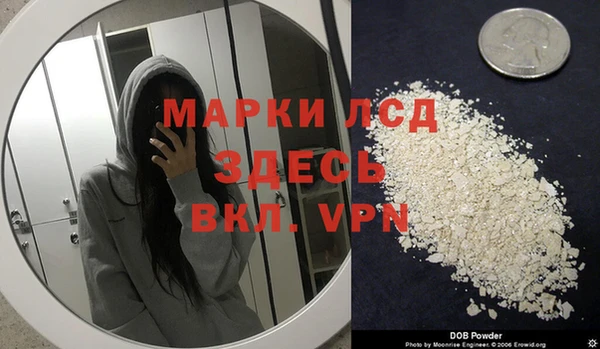 хмурый Алексин