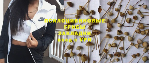 хмурый Алексин