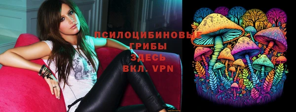 хмурый Алексин
